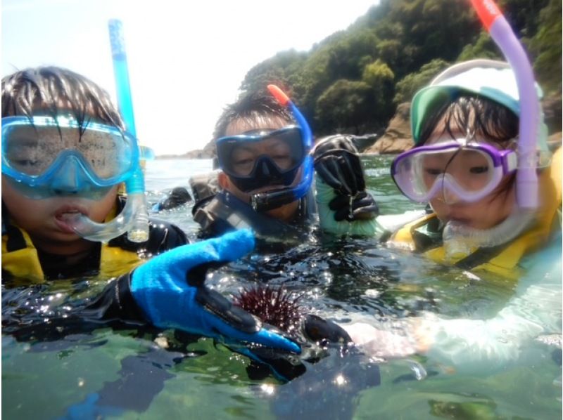 【徳島・海陽町】ガイド付きシュノーケリングコース・ご家族や友人と海を体験しよう！