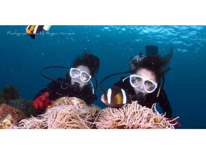 【鹿児島県・屋久島】大自然で新たなる発見「縄文杉トレッキング＆体験ダイビング」（１日コース）