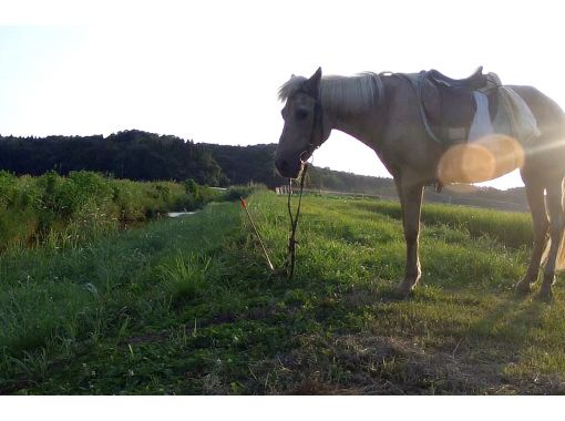 乗馬で河原散歩【初心者向け】【引き馬】 乗馬で河原散歩【初心者向け】【引き馬】