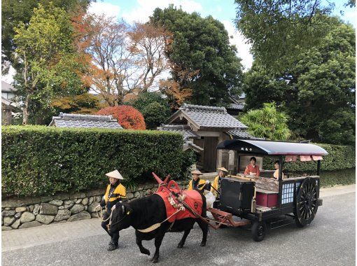 【鹿児島・出水】日本で唯一の黒毛和牛がひく「いずみ観光牛車」で、日本遺産「出水麓武家屋敷群」観光 【鹿児島・出水】日本で唯一の黒毛和牛がひく「いずみ観光牛車」で、日本遺産「出水麓武家屋敷群」観光