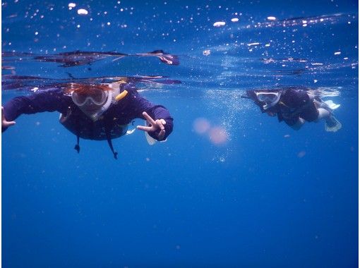 【大分・深島】九州屈指の海でシュノーケル体験！（ガイド＋器材レンタル）の画像