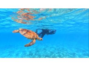 【鹿児島県・奄美大島】「ウミガメと泳ぐビーチシュノーケル」撮影した写真はその場でプレゼント！（シャワー・更衣室・タオル完備）