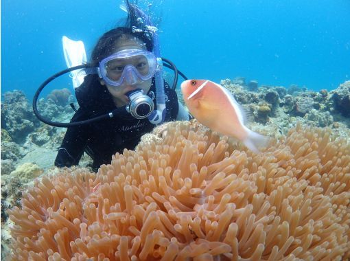 【鹿児島県・奄美大島】ビーチ体験ダイビング【水中写真付】の画像