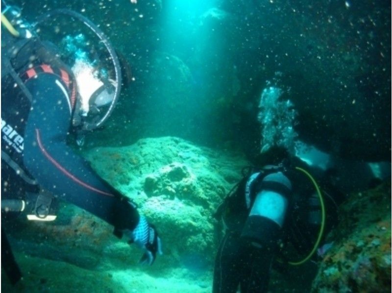 【福岡県・北九州市】本格!アドバンススクーバダイバー / Advanced Scuba Diver