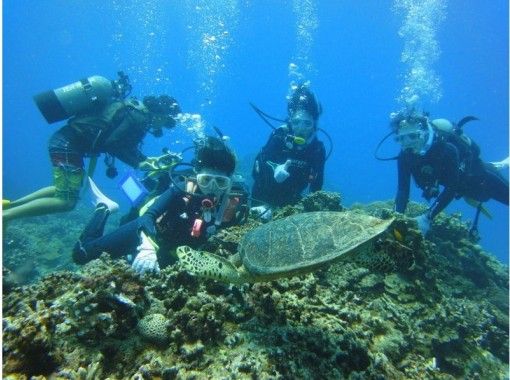 [Okinawa ・ Kerama Islands] You can play all day without a license! Kerama Islands Experience Divingの画像