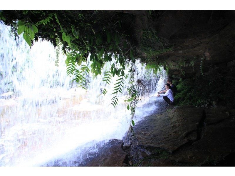 [ 沖縄 ·西表島]往返登機票☆♪行走！玩得開心！ Sangara Falls【徒步旅行·劃獨木舟體驗·8小時】の紹介画像
