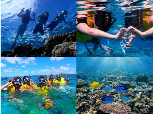 Okinawa, Minnajima [D Plan ◆ Boat snorkeling & day trip swimming] Includes a round trip boat ticket to Minnajima, lunch, one parasol, and free photo downloads!の画像