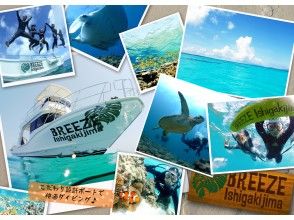 Breeze石垣島ダイビングサービス Reservations Access Operating Hours Activityjapan