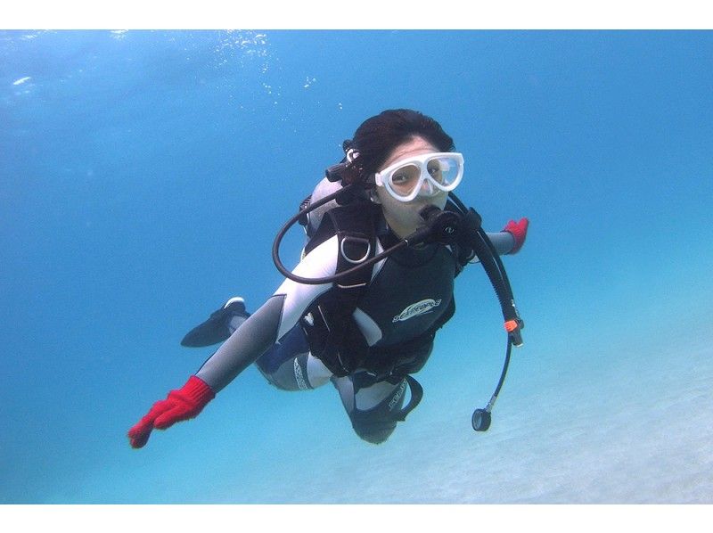 【屋久島 体験ダイビング】じっくり自然観察で、世界遺産の海を満喫！2ダイブコースの紹介画像