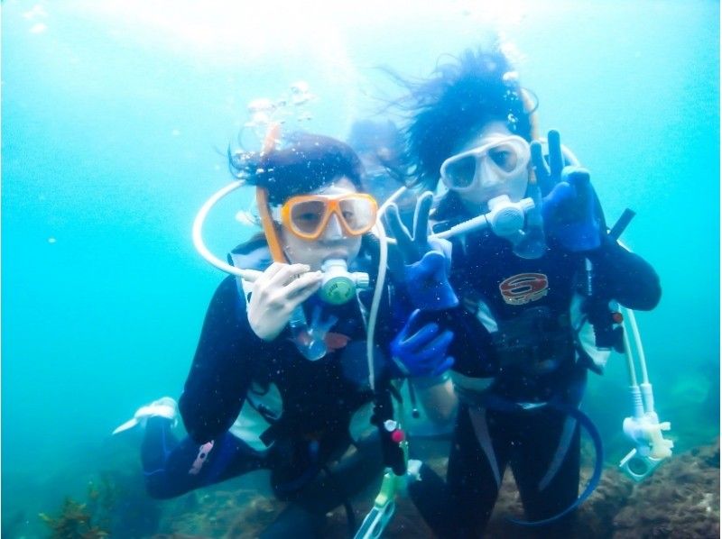 【兵庫・神戸】海の中の世界を知ろう！体験ダイビング～淡路島コース～（1日・昼食付き！）