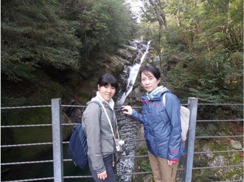 【鹿児島･熊毛郡】時間のない方にお勧め！「縄文杉日帰りトレッキング」白谷雲水峡～縄文杉～白谷雲水峡