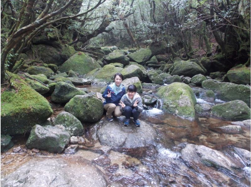 [가고시마 현 구마 게군] 시라 타니 운수 계곡 트레킹 '이끼 숲 코스 "초심자에게 추천! (왕복 약 4km)の紹介画像