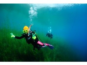 北海道 支笏湖ダイビング ・１名様より催行。午前2DIVE (午後からの参加2DIVEも可能）4/26-11/30期間限定開催