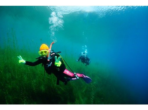 北海道 支笏湖ダイビング ・１名様より催行。午前2DIVE (午後からの参加2DIVEも可能）4/26-11/30期間限定開催の画像