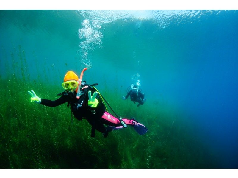 Hokkaido Lake Shikotsu Diving ・ Departs from 1 person. 2DIVE in the morning (2DIVE from the afternoon is also possible) 4 / 29-11 / 6 Held for a limited timeの紹介画像