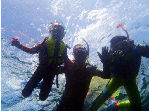 [南國宮崎-日南海岸透明度高]宮崎在海中浮潛の画像