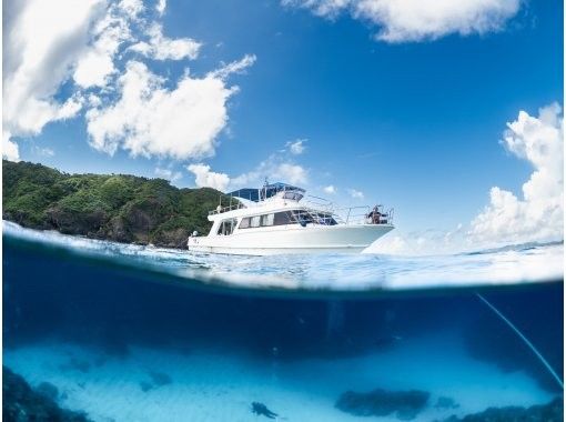 【沖縄・那覇発】国立公園慶良間諸島シュノーケリング｜初心者大歓迎｜4名様以上のご参加OK｜器材レンタル付の画像