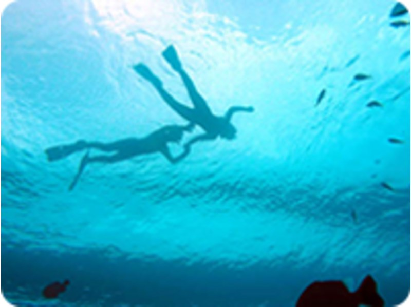 [Okinawa ・ Naha Feel free to dive] [boat Snorkeling(1 day)】の紹介画像