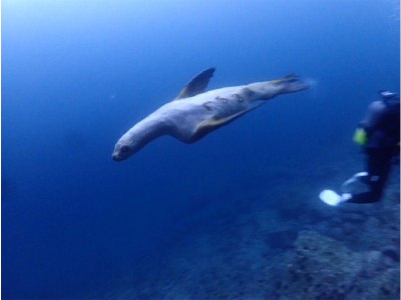 【北海道・SUP体験】透明度の高い支笏湖の湖面をクルージング！SUP体験（半日コース）の画像