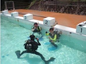 【和歌山・白浜】初心者向け！南紀白浜で体験ダイビングコース（約2.5時間）の画像