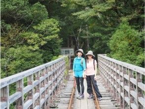 【鹿児島・屋久島】あれもこれも欲張る！白谷トレッキング＆体験ダイビング（インストラクター付き）