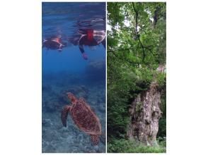 【鹿児島・屋久島】「縄文杉トレッキング＆スノーケリングコース」（２日間）大満足なセットプランでお得感◎それぞれ専門ガイドがご案内！