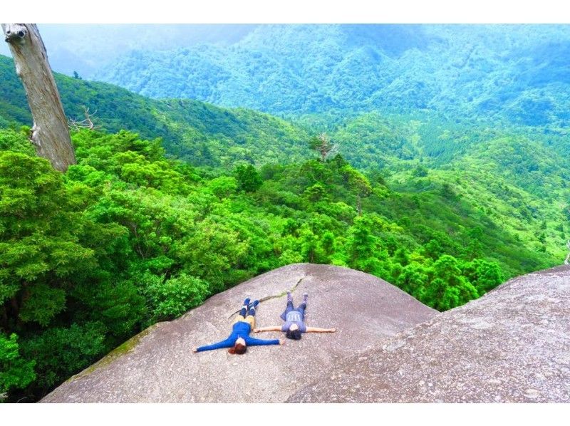 【鹿児島・屋久島】自然を感じよう!白谷トレッキング(太鼓岩まで)&体験ダイビング(1日)