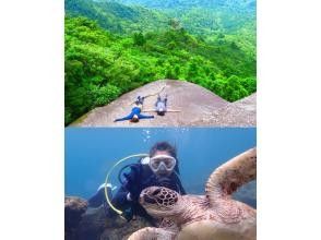 エバーブルー屋久島(EVER BLUE YAKUSHIMA)