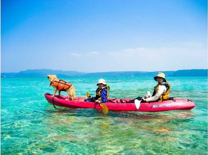 Yagachi Island Day Kayak Toursの紹介画像