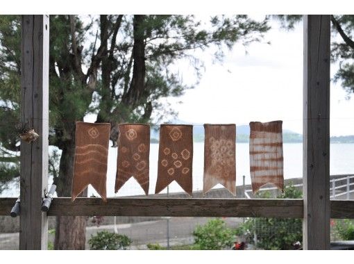 【Set】 Yagachi Island Mangrove Walk and Mangrove Dyedの画像