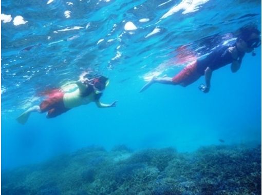 沖縄 石垣 サンゴ 熱帯魚が見れる美しい海へ 石垣島周辺シュノーケリングコース アクティビティジャパン