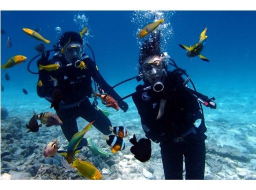 [Okinawa ・ Minnajima] Sea bathing Diving planの画像