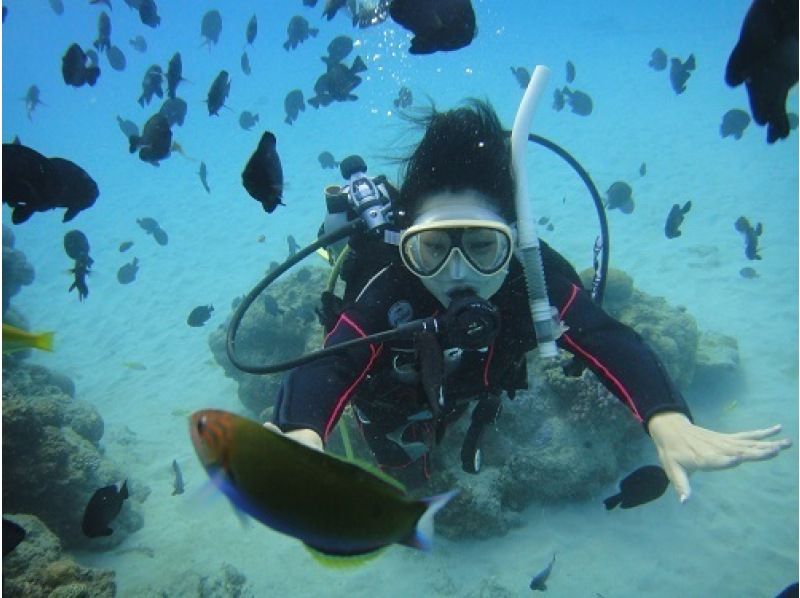 【鹿児島・奄美大島南部】大島海峡、加計呂麻島サンゴ礁体験ダイブ&シュノーケル,ヨットクル。1日コース