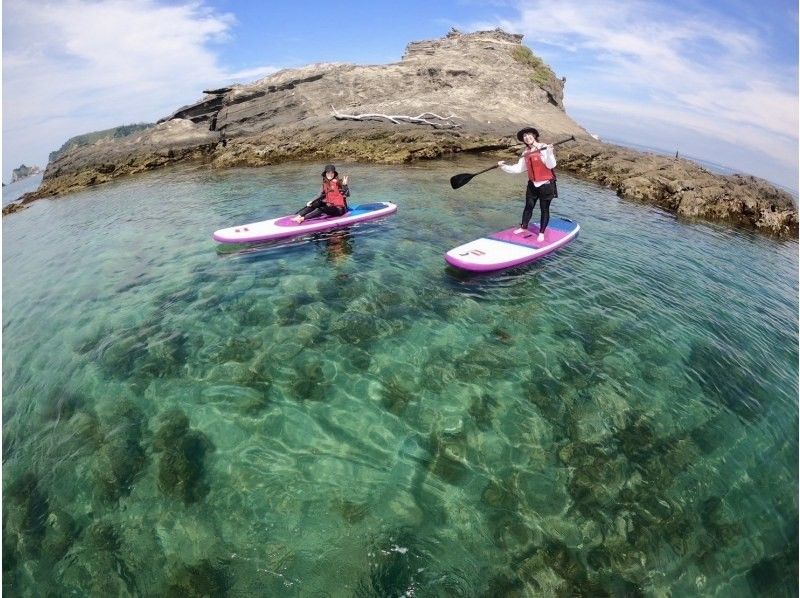 館山・南房総で体験できる海のアクティビティの格安予約 【アクティビティジャパン｜日帰り旅行】