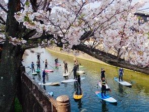 【湘南・逗子】春の初めてキャンペーン！初心者歓迎！SUP体験コース（初めての方向け）女性一人でも初めての方でも安心！【半日/1日】