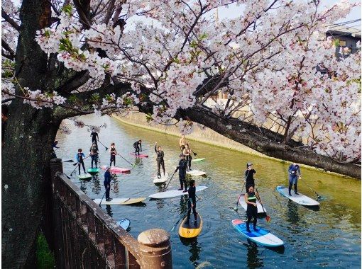 逗子・葉山でサップ(SUP)・スタンドアップパドルボードの予約