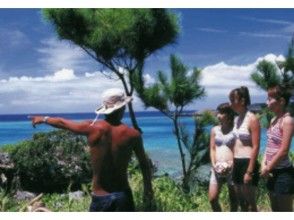 【沖縄・国頭郡】「ヨウ島」自然を体感！シュノーケリング&エコツアーでダブルプラン！2時間半
