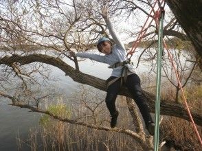 【滋賀高島】基本のツリーカフェ!枝に座って立って寝転んでとことん木登り!(2時間)の画像