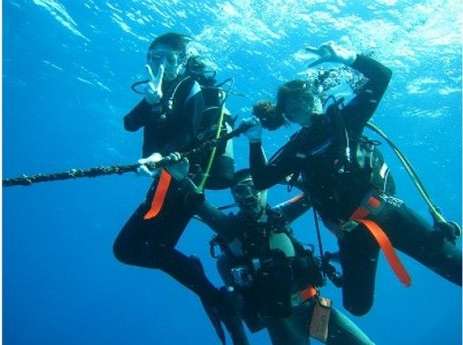 【四国・日帰り体験ダイビング】『福山・世羅発』珊瑚と熱帯魚の四国の海で、じっくり2本ダイビングの画像