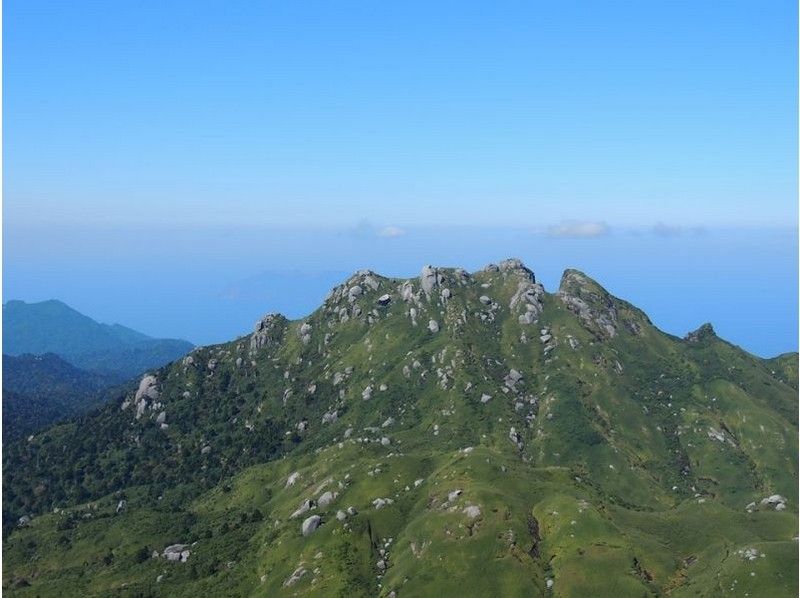【鹿児島・屋久島】屋久島のてっぺん宮之浦岳の山頂を目指す「宮之浦岳登山」上級者向き(往復約16km)
