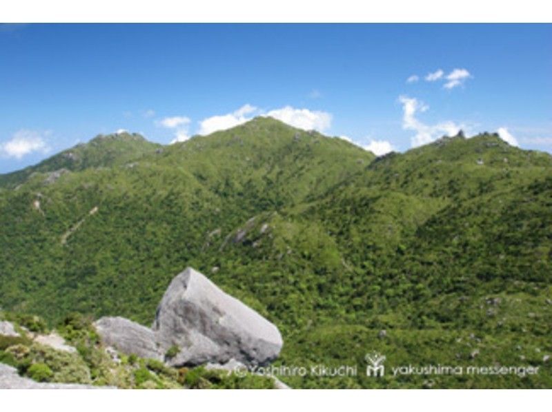 【鹿児島・屋久島】のーんびりしたい人必見!黒味岳登山(往復約10km)~6才から参加OK!