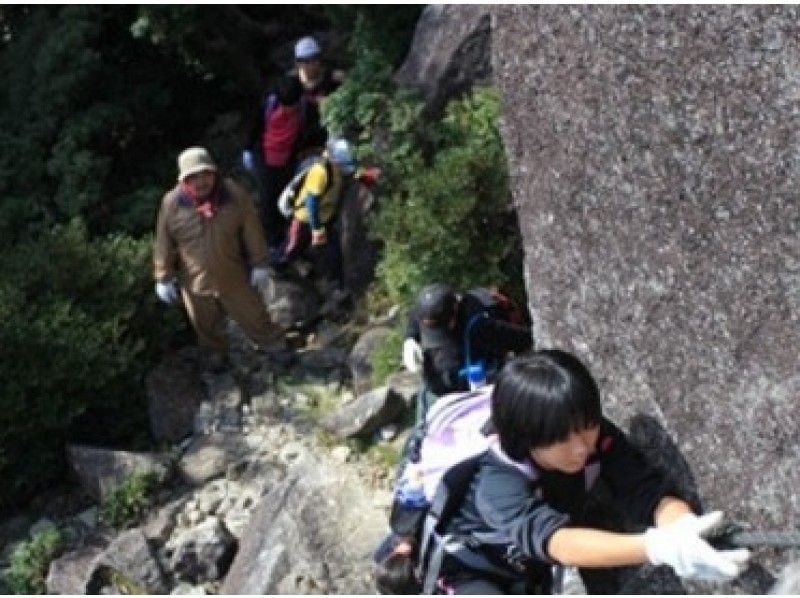 【鹿児島・屋久島】巨岩と町並みを望もう！太忠岳登山（往復約８.５ｋｍ）６才から参加OK！