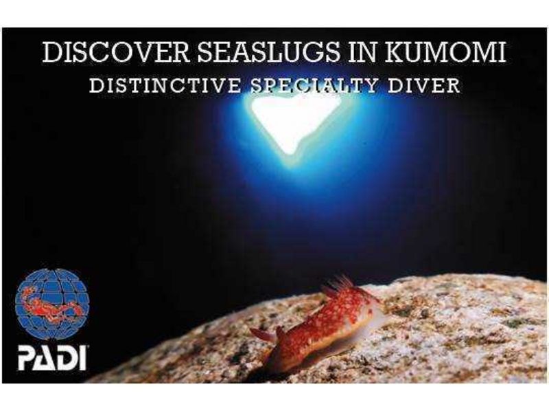 [Shizuoka Nishiizu-Kumomi] พยายามที่จะได้รับใบอนุญาต! Open Water Diver แน่นอน [C-บัตรเข้าซื้อกิจการ]の紹介画像