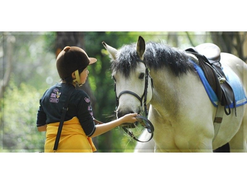 【茨城・水戸】馬にまたがってみよう！体験乗馬(1回コース)【乗馬】