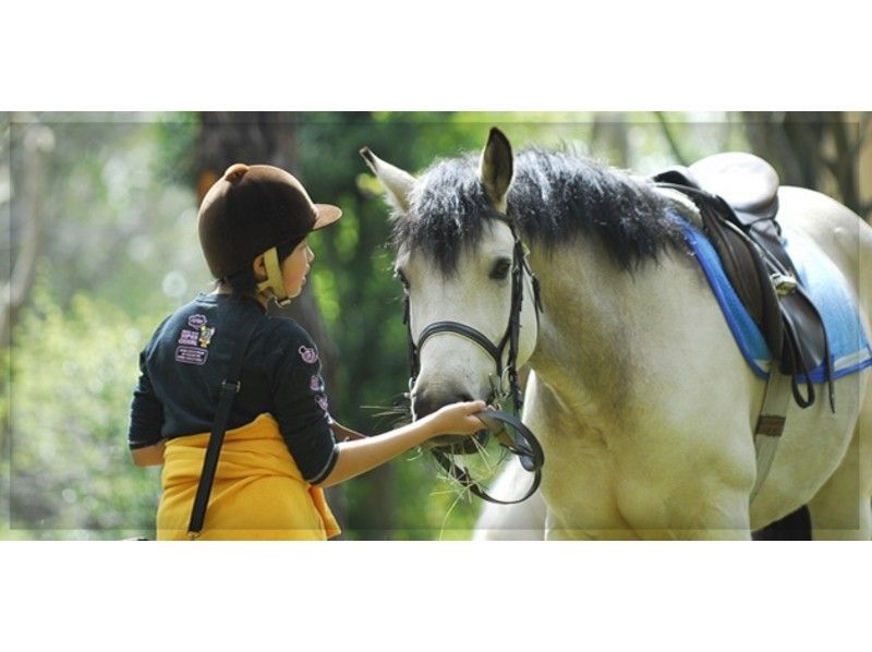 【茨城・水戸】馬にまたがってみよう！体験乗馬(1回コース)【乗馬】の紹介画像