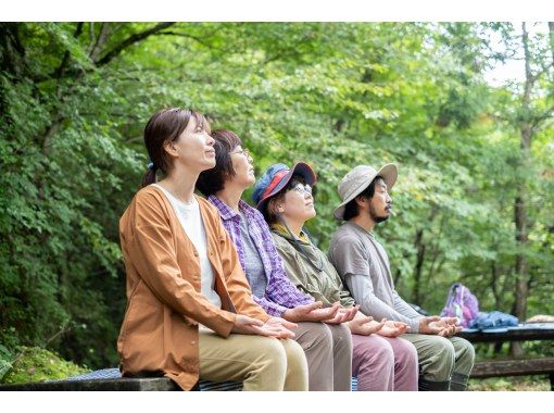 【鳥取・芦津渓谷】森林は癒しのエキスパート！森林セラピー体験（中国自然歩道コース）の画像