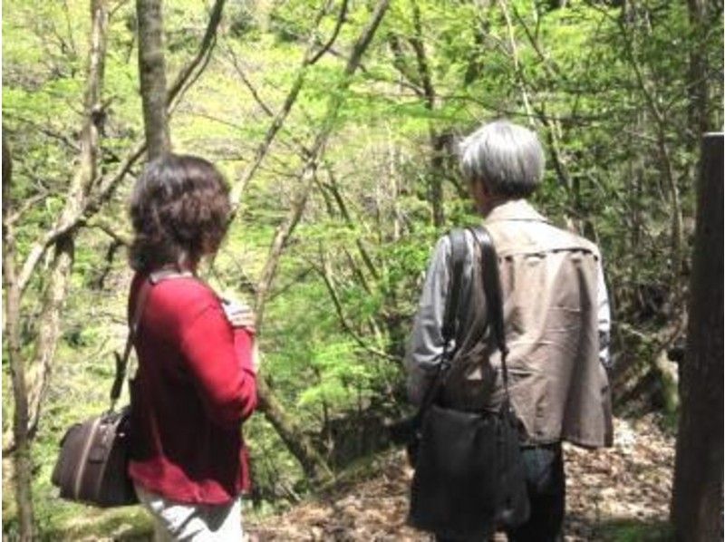 【鳥取・八頭郡智頭町】自然豊かな遊歩道と源流を歩いて癒されよう！森林セラピー体験（1日コース）