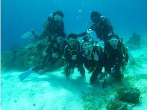 [Kanagawa ・ Yokohama 】 Let's play in the sea of Izu! ! Experience Diving 【1st】