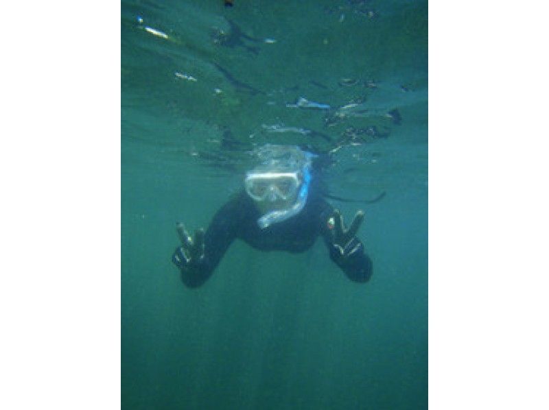 [Shizuoka Higashiizu] Kitagawa snorkeling!の紹介画像