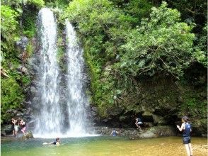 【沖縄・やんばる】やんばる清流リバートレッキングツアー（★各種割引あり★）